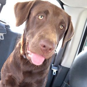 Meet your Posher, Kailey